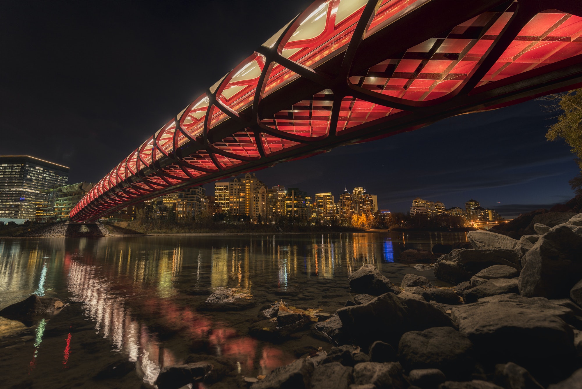 Calgary modern Peace Bridge lit up at night.